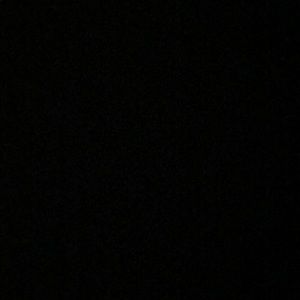 Meet your Posher, Lily